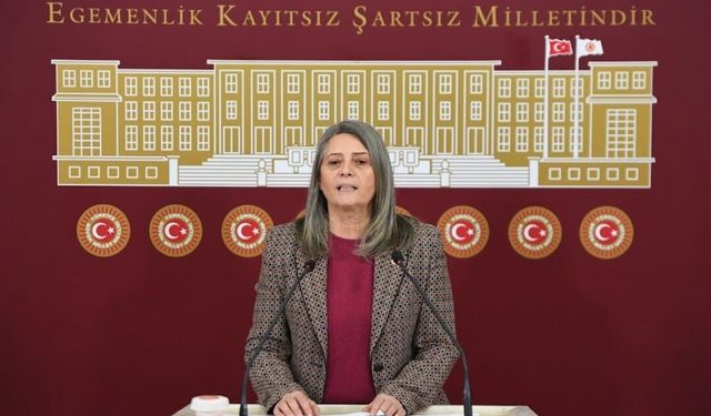 CHP’li Sibel Suiçmez’den MEB’e Karne Tepkisi