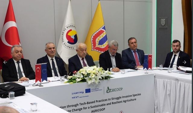 Karadeniz’de 3 Ülke Kokarca’ya Karşı Birleşti!