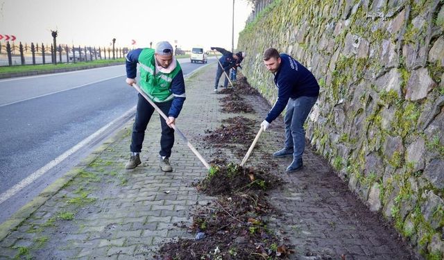 Giresun Belediyesi Ekipleri Sahada: Şehir Güzelleşiyor!