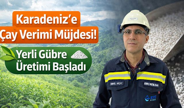 Karadeniz'e Çay Verimi Müjdesi! Yerli Gübre Üretimi Başladı