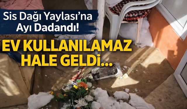 Sis Dağı Yaylası'na Ayı Dadandı! Ev İçinde Eşyalar Kullanılamaz Hale Geldi