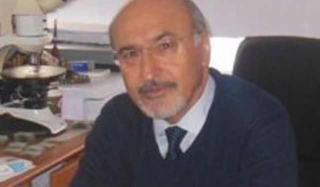 Trabzon'da Prof. Bektaş Uyardı: Dolgu Alanda Kayma Hızlandı