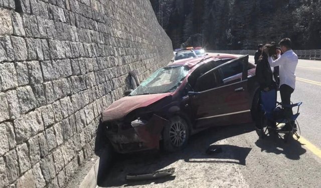 Ayder Yolunda Arı Paniği! Araç Duvara Çarptı