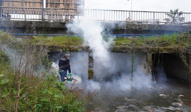 Rize’de Sivrisinek Larvası İçin İlaçlama Başladı