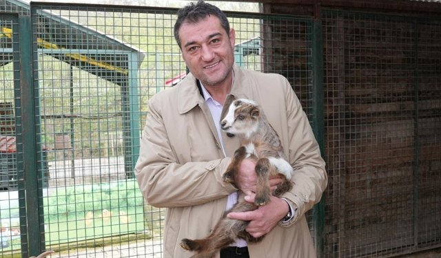 Başkan Köse'den 4 Nisan'da Sokak Hayvanları Mesajı