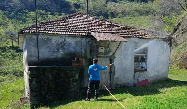 Trabzon’da Fındığın Düşmanına Büyük Kuşatma! 10 Ekip Sahada