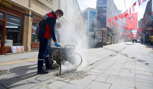 Giresun'da Sivrisinek ve Haşerelere Karşı Savaş Başladı