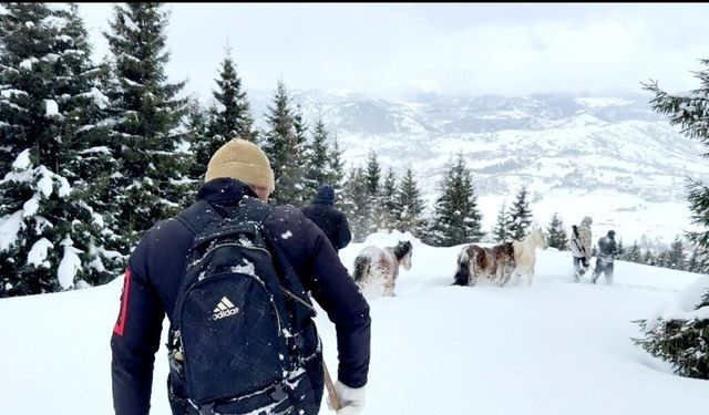 Artvin'de Kar Altında 90 Gün Ağaç Yiyerek Hayatta Kaldılar