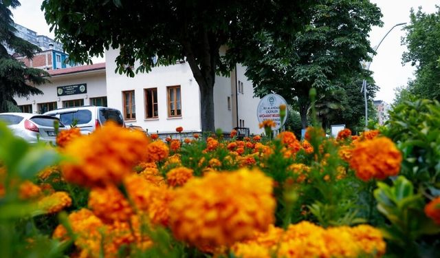 Trabzon Akçaabat'ta Herkes Bunu Konuşuyor! 60 Bin Sürpriz...