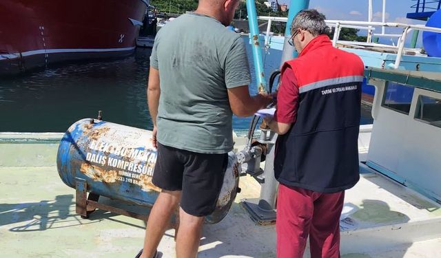 Trabzon'da Deniz Salyangozu Avcılığı İçin Kritik İşlem!