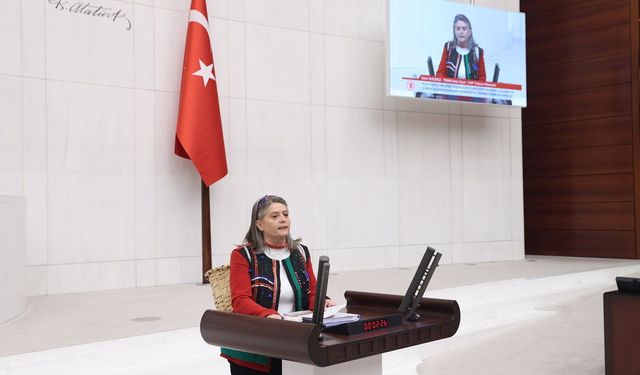CHP'li Suiçmez'den Kadın Şiddetine Karşı Baro Hamlesi!