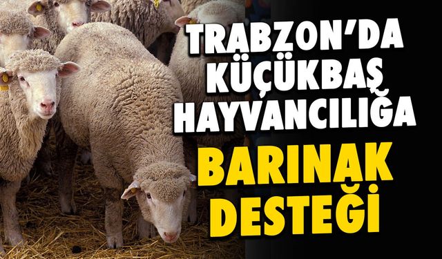Trabzon’da Küçükbaş Hayvancılığa Portatif Barınak Desteği