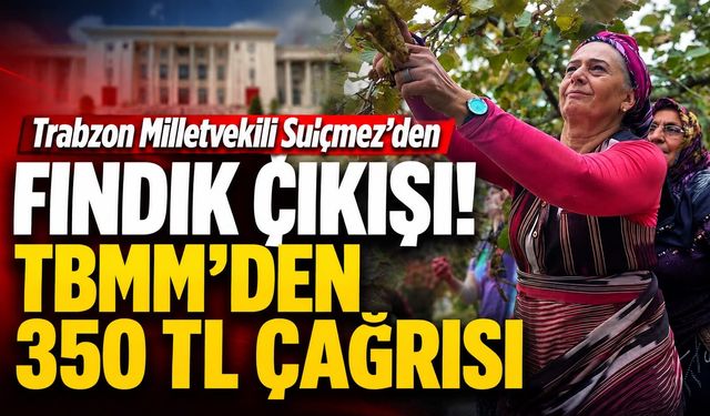 Trabzonlu Vekil Sibel Suiçmez’den İktidara Fındık Çağrısı!