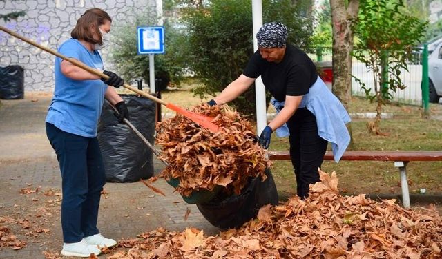 Giresun Parklarında Büyük Temizlik: Şehir Yenileniyor!
