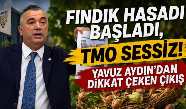 Fındık Hasadı Başladı, TMO Sessiz! Yavuz Aydın’dan Dikkat Çeken Çıkış
