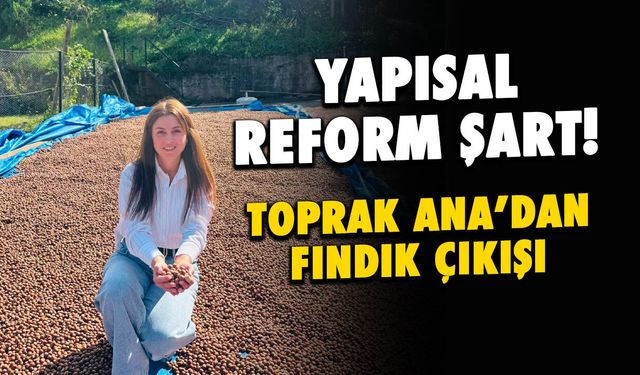 Toprak Ana'dan fındık çıkışı: Yapısal reform şart!