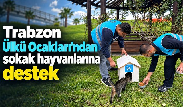 Trabzon Ülkü Ocakları’ndan Sokak Hayvanlarına Destek