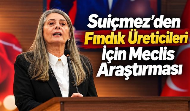Suiçmez'den Fındık Üreticileri için Meclis Araştırması