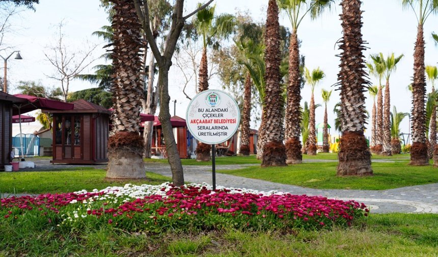 Akçaabat’ın Çiçekleri Kendi Seralarında Yetişiyor