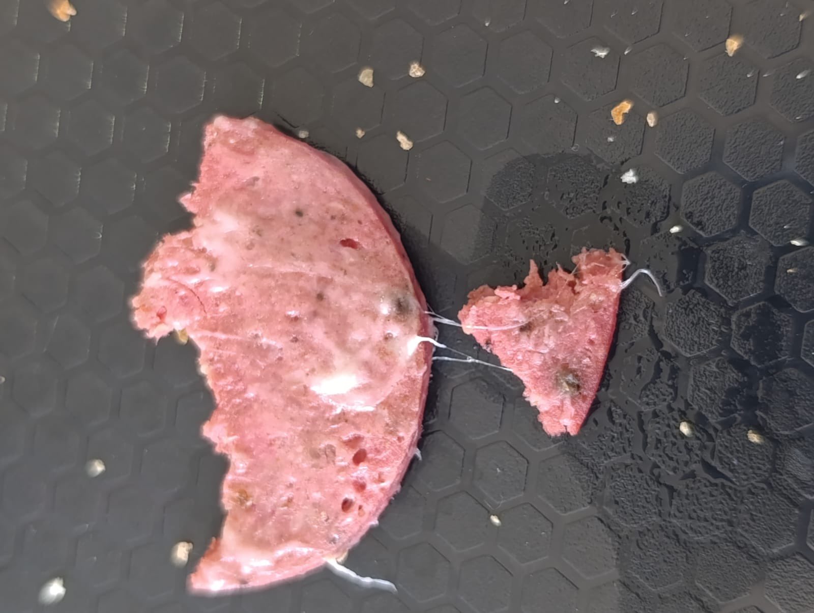 G5S M1 G P Xg A Asv F K