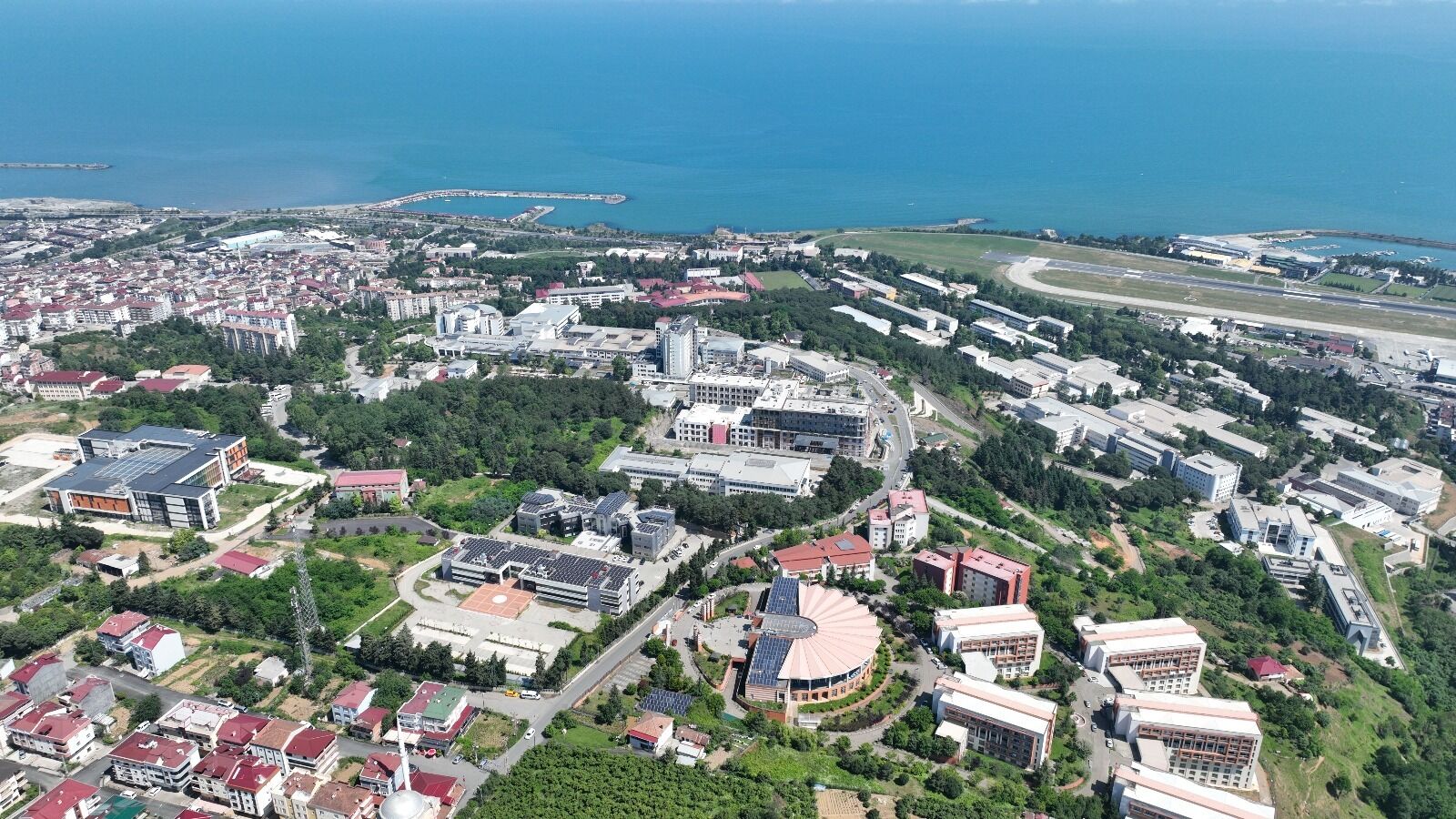 Trabzon’da 70 Yıllık Çınara Karalama Mı Yapılıyor Ktü’den Sert Çıkış!